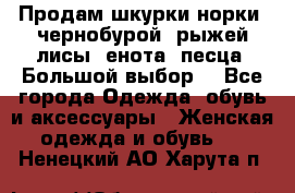 Продам шкурки норки, чернобурой, рыжей лисы, енота, песца. Большой выбор. - Все города Одежда, обувь и аксессуары » Женская одежда и обувь   . Ненецкий АО,Харута п.